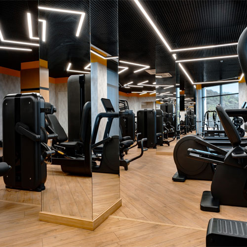 Gymnasium